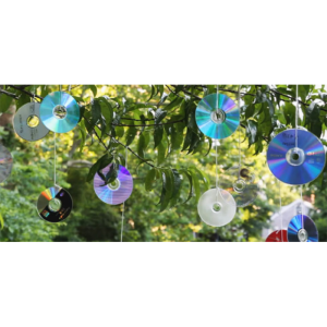 Reflective Bird Scaring CD's