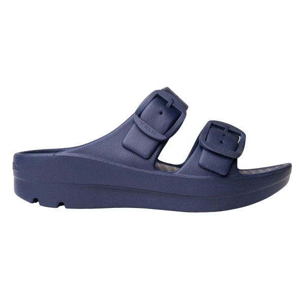 Telic Boise Bliss - Deep Ocean - Image 3